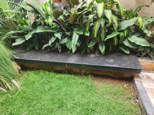 Dark stone edging bordering planted greenery
