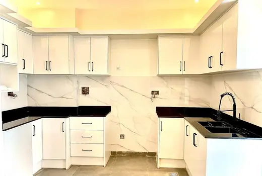 White kitchen cabinets contrasted with dark worktops